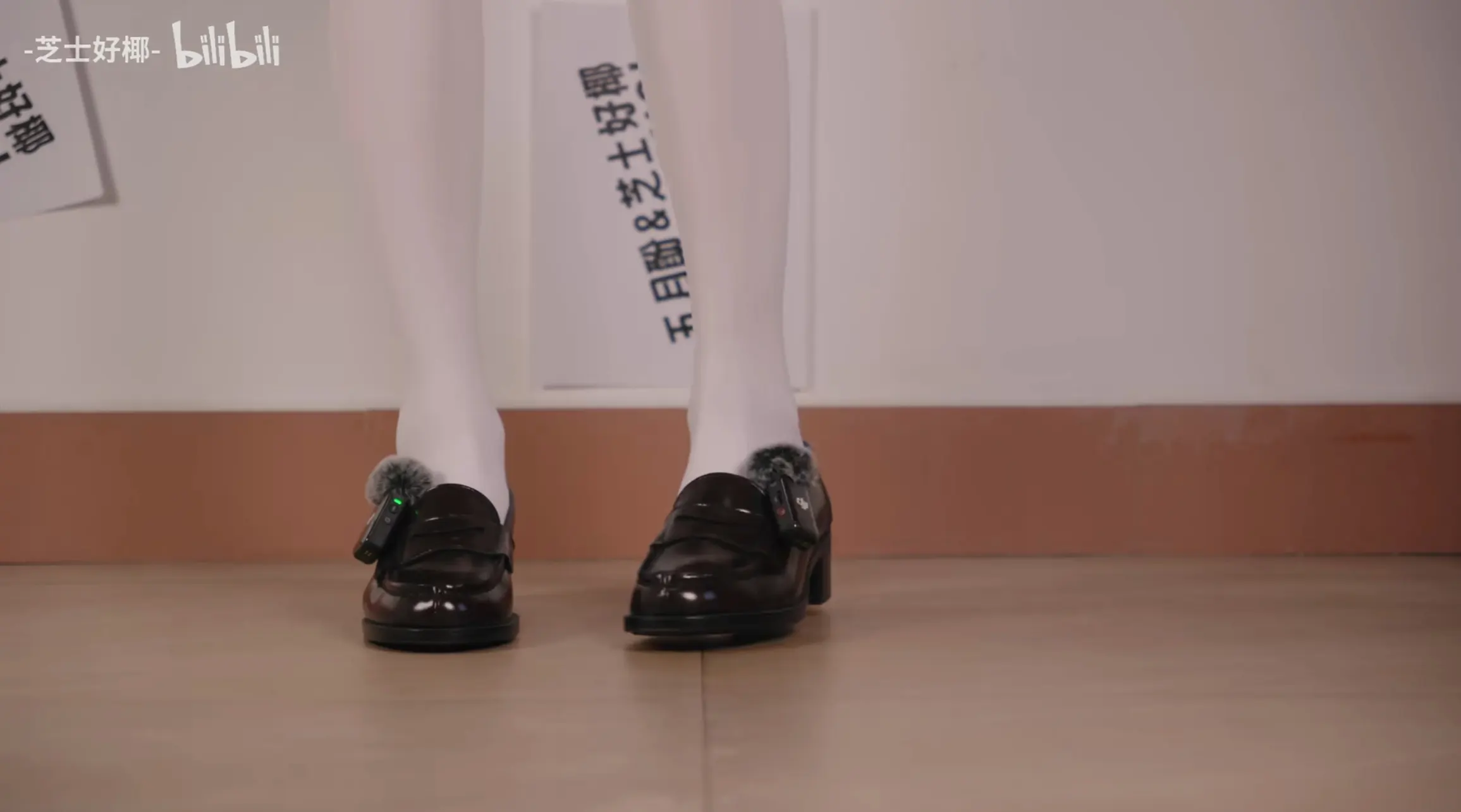 B站芝士好椰 充电资源合集[89GB]